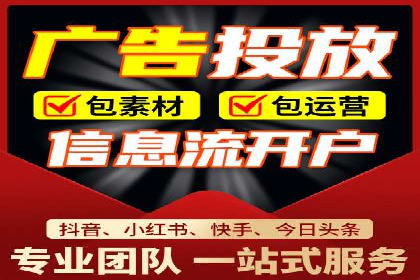 短视频平台的SEM推广实践与效果